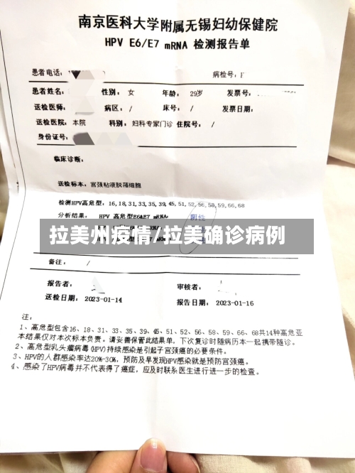 拉美州疫情/拉美确诊病例