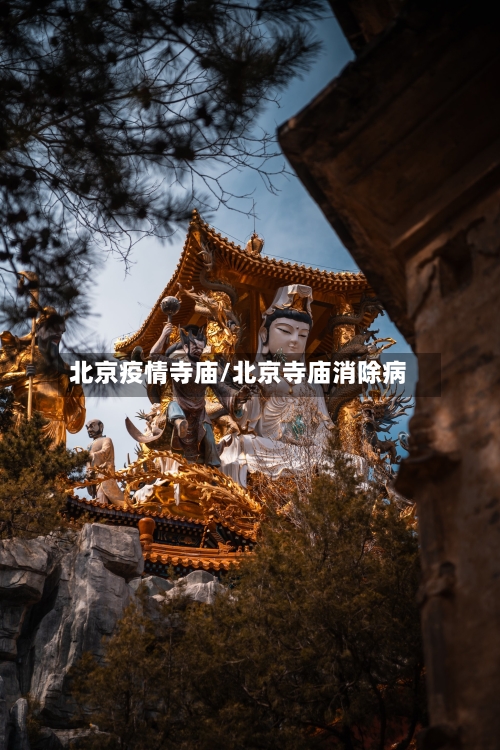 北京疫情寺庙/北京寺庙消除病-第2张图片