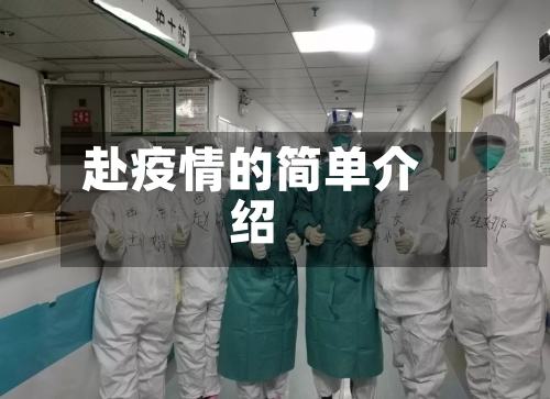 赴疫情的简单介绍-第3张图片