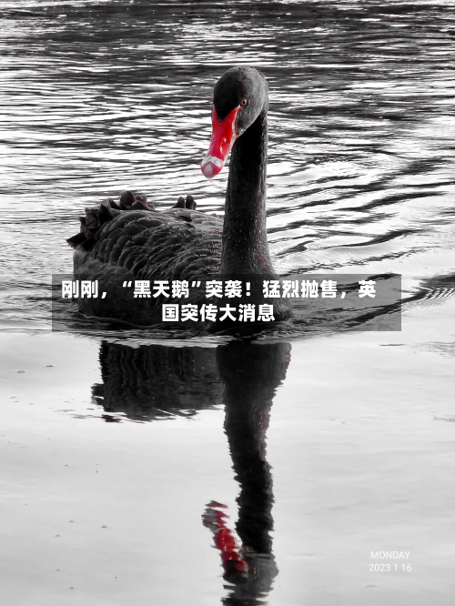刚刚，“黑天鹅	”突袭！猛烈抛售，英国突传大消息-第2张图片