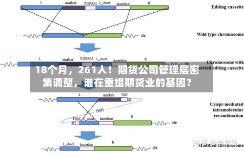 18个月，261人！期货公司管理层密集调整	，谁在重组期货业的基因？-第2张图片