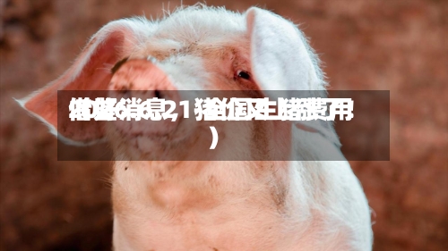 2026.6.21-全国生猪费用借鉴（好消息	，猪价又上涨了！）-第2张图片