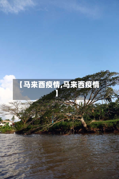 【马来酉疫情,马来西疫情】