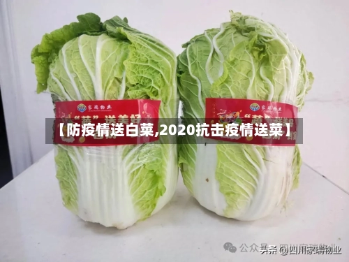 【防疫情送白菜,2020抗击疫情送菜】-第2张图片