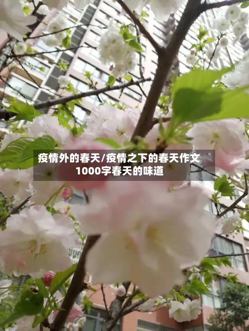 疫情外的春天/疫情之下的春天作文1000字春天的味道-第2张图片