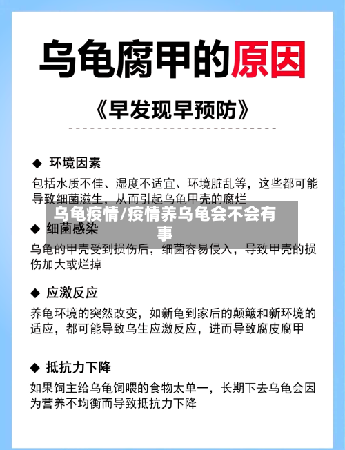 乌龟疫情/疫情养乌龟会不会有事-第2张图片