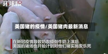 美国猪的疫情/美国猪肉最新消息
