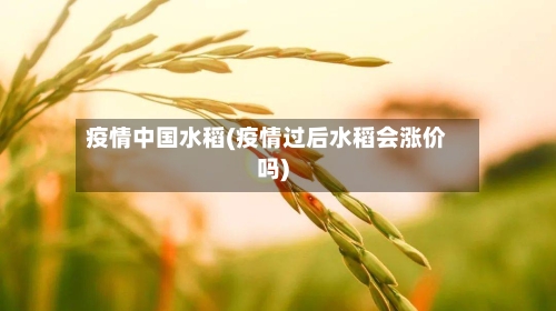 疫情中国水稻(疫情过后水稻会涨价吗)-第2张图片