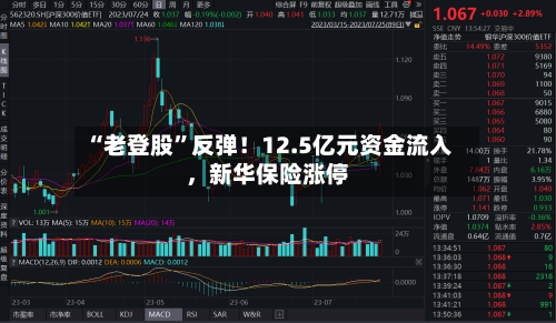 “老登股”反弹！12.5亿元资金流入，新华保险涨停-第2张图片