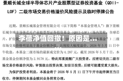 李蓓净值回撤！原因是……-第3张图片