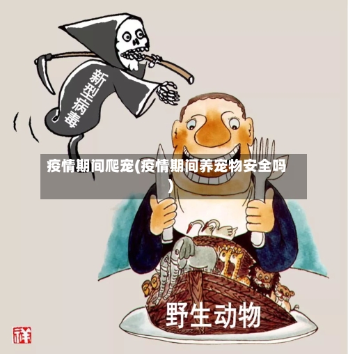 疫情期间爬宠(疫情期间养宠物安全吗)-第2张图片