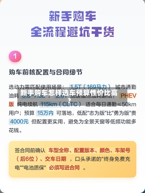 新手购车怎样选车预算性价比高？-第2张图片
