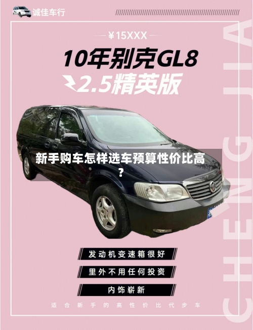 新手购车怎样选车预算性价比高？-第3张图片