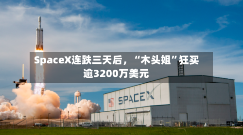 SpaceX连跌三天后	，“木头姐”狂买逾3200万美元-第2张图片