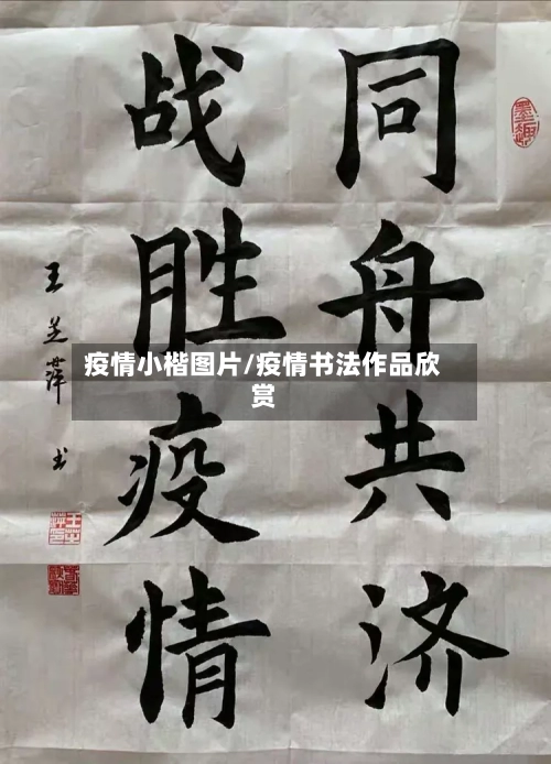 疫情小楷图片/疫情书法作品欣赏