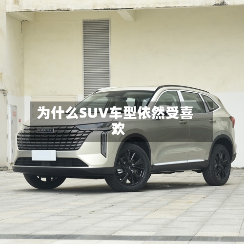 为什么SUV车型依然受喜欢？-第3张图片