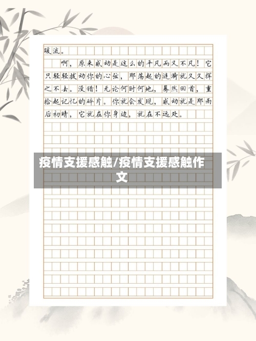 疫情支援感触/疫情支援感触作文
