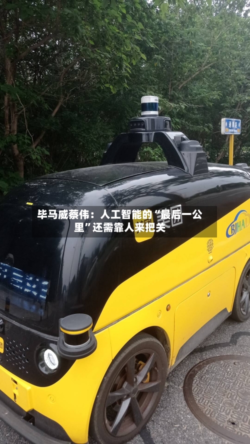 毕马威蔡伟：人工智能的“最后一公里	”还需靠人来把关-第3张图片