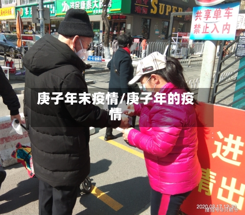 庚子年末疫情/庚子年的疫情