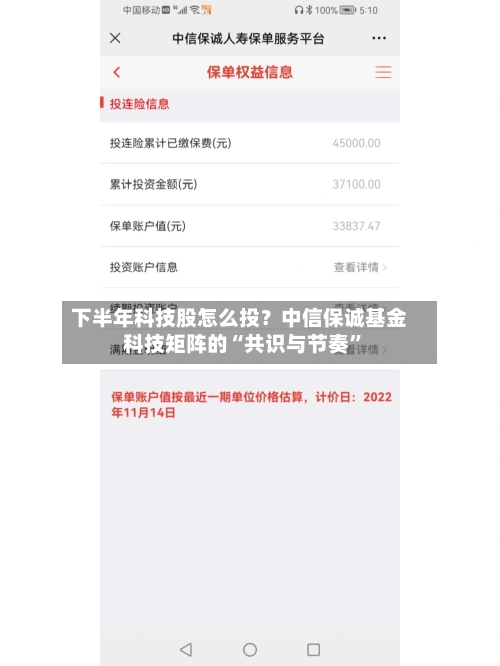 下半年科技股怎么投？中信保诚基金科技矩阵的“共识与节奏”