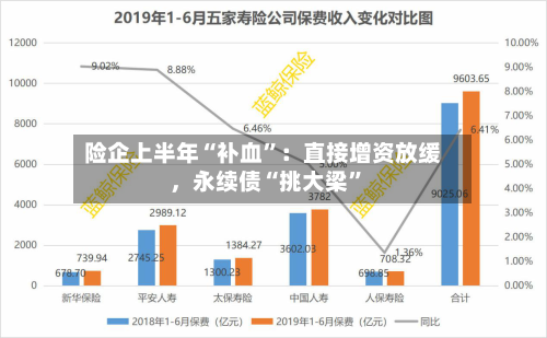 险企上半年“补血”：直接增资放缓，永续债“挑大梁	”-第3张图片