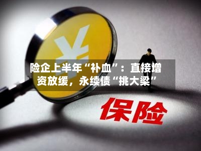 险企上半年“补血	”：直接增资放缓，永续债“挑大梁”-第2张图片