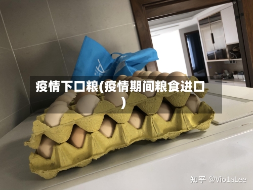 疫情下口粮(疫情期间粮食进口)-第2张图片