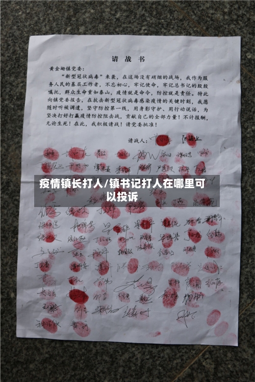 疫情镇长打人/镇书记打人在哪里可以投诉-第3张图片
