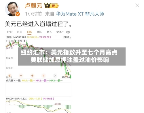 纽约汇市：美元指数升至七个月高点 美联储加息押注盖过油价影响-第2张图片