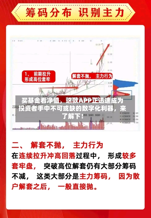 买基金看净值，这款APP正迅速成为投资者手中不可或缺的数字化利器，来了解下！