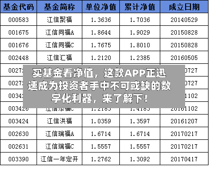 买基金看净值，这款APP正迅速成为投资者手中不可或缺的数字化利器，来了解下！-第2张图片