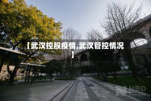 【武汉控股疫情,武汉管控情况】-第2张图片