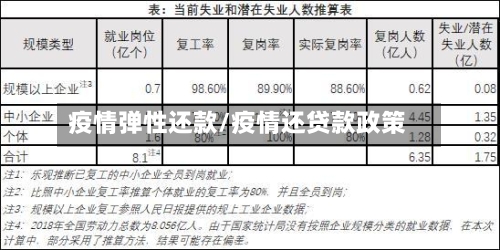 疫情弹性还款/疫情还贷款政策