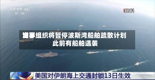 世界海事组织将暂停波斯湾船舶疏散计划 此前有船舶遇袭-第2张图片