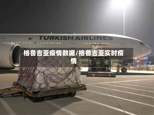 格鲁吉亚疫情数据/格鲁吉亚实时疫情-第2张图片