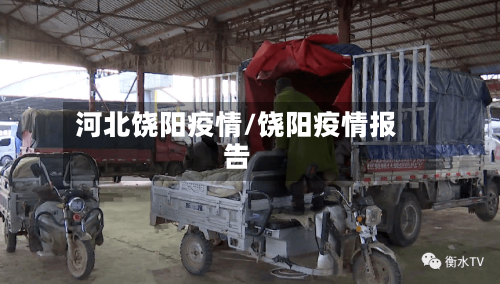 河北饶阳疫情/饶阳疫情报告-第2张图片