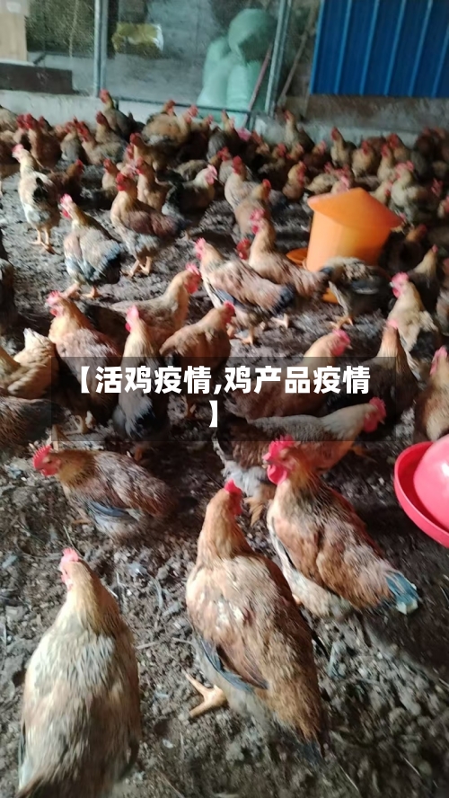 【活鸡疫情,鸡产品疫情】