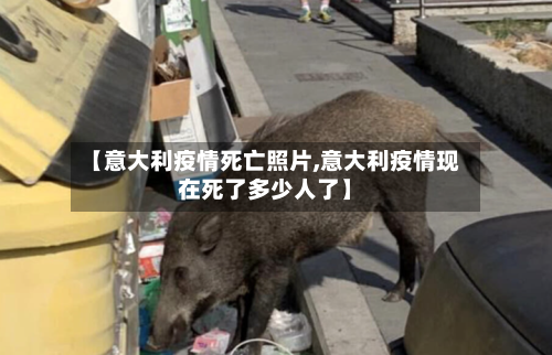 【意大利疫情死亡照片,意大利疫情现在死了多少人了】-第2张图片