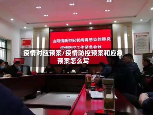 疫情对应预案/疫情防控预案和应急预案怎么写