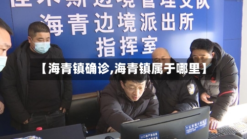 【海青镇确诊,海青镇属于哪里】