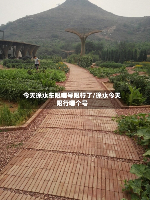 今天徐水车限哪号限行了/徐水今天限行哪个号-第2张图片