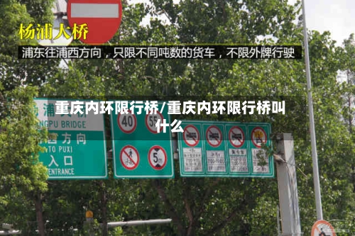 重庆内环限行桥/重庆内环限行桥叫什么-第2张图片