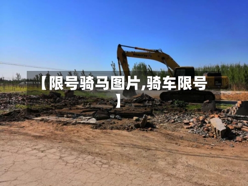 【限号骑马图片,骑车限号】-第2张图片