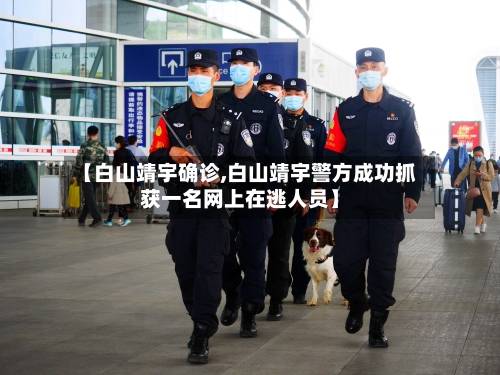 【白山靖宇确诊,白山靖宇警方成功抓获一名网上在逃人员】