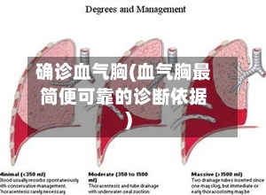 确诊血气胸(血气胸最简便可靠的诊断依据)