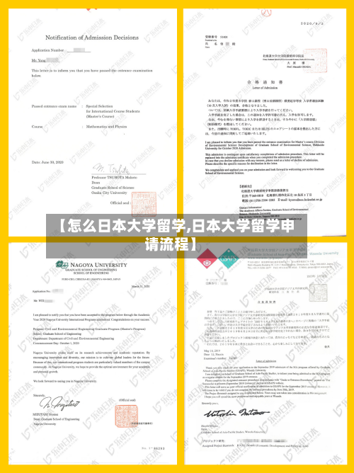 【怎么日本大学留学,日本大学留学申请流程】-第2张图片
