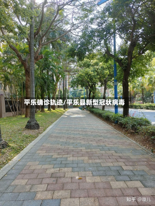 平乐确诊轨迹/平乐县新型冠状病毒