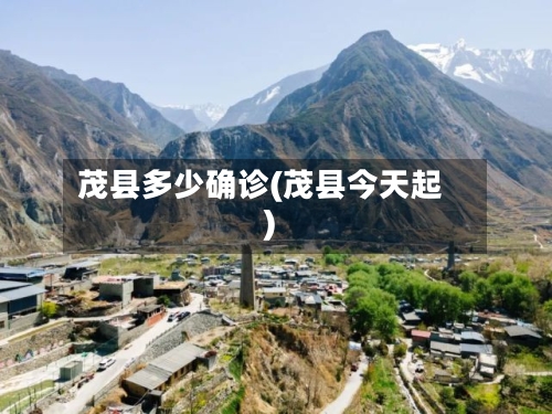 茂县多少确诊(茂县今天起)-第2张图片