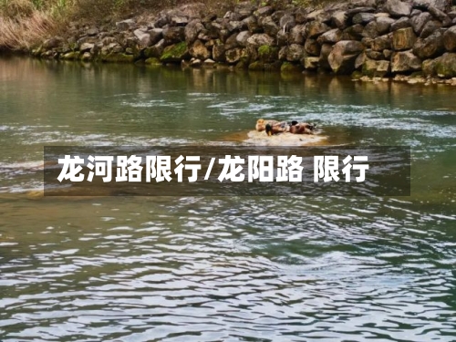 龙河路限行/龙阳路 限行