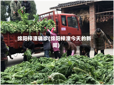 绵阳梓潼确诊(绵阳梓潼今天的新闻)-第3张图片